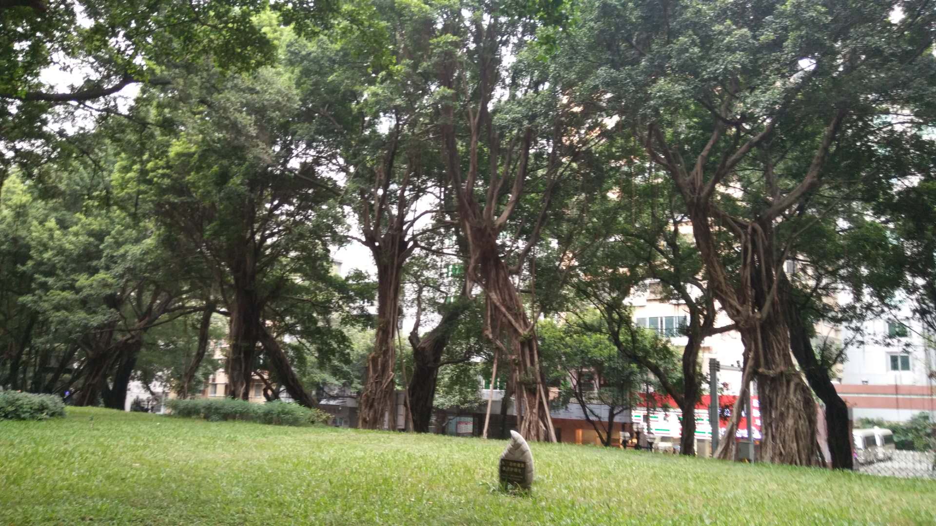 微信图片_20200220105147.jpg