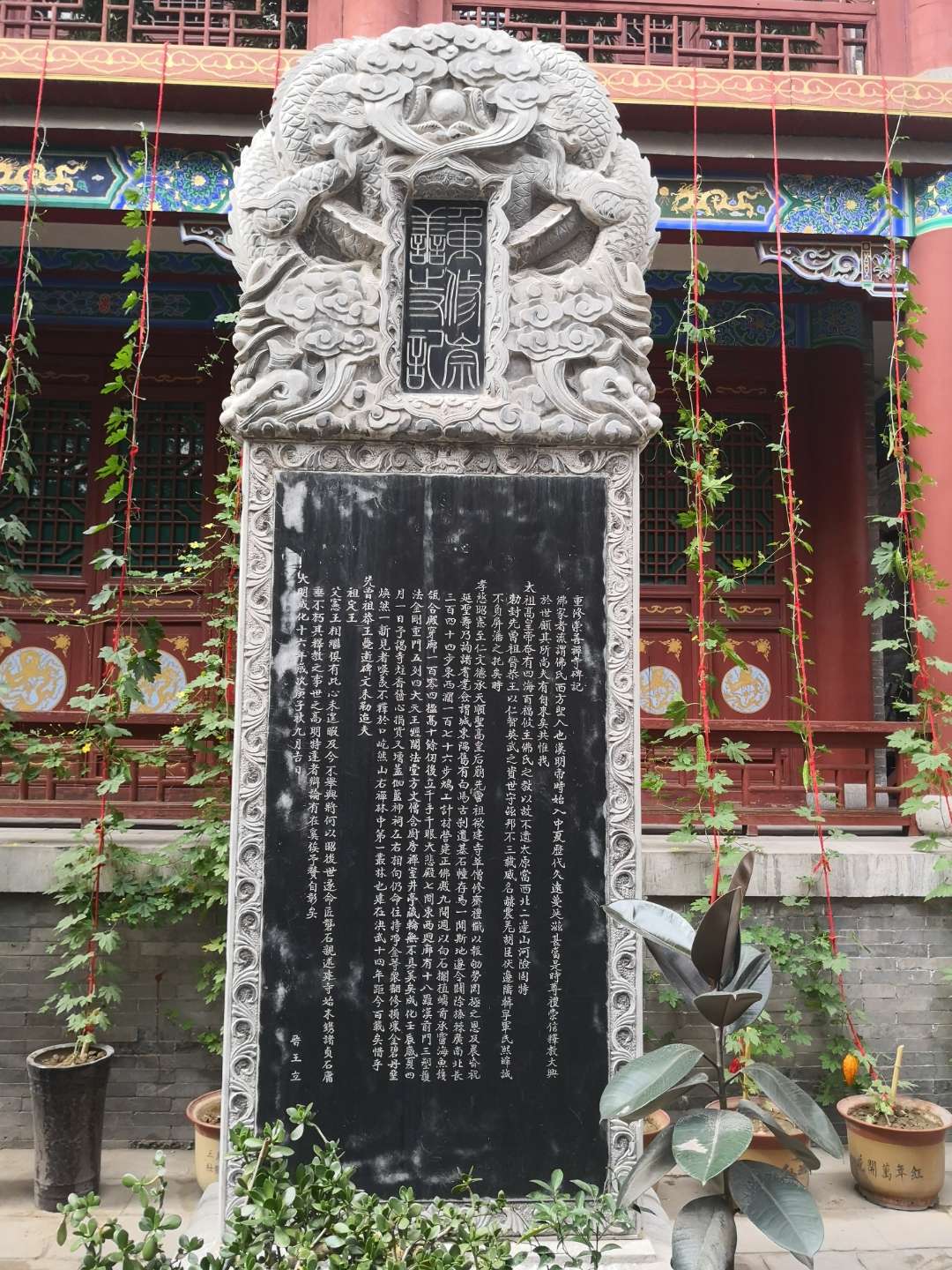 1584857891493139.jpg 9.jpg