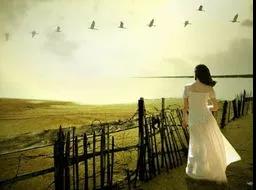 1594088584580247.jpg 3.jpg