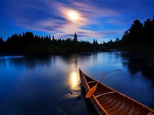 1594088603374816.jpg 5.jpg