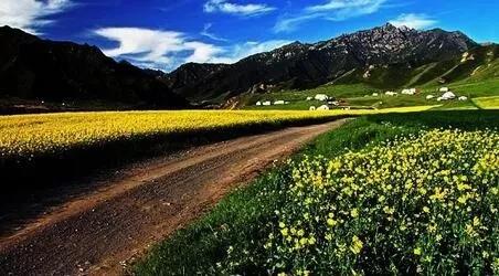 1594088612261683.jpg 6.jpg