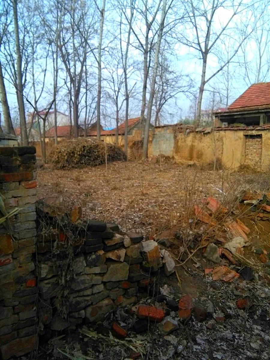 1594089072482620.jpg 微信图片_20200707102834.jpg