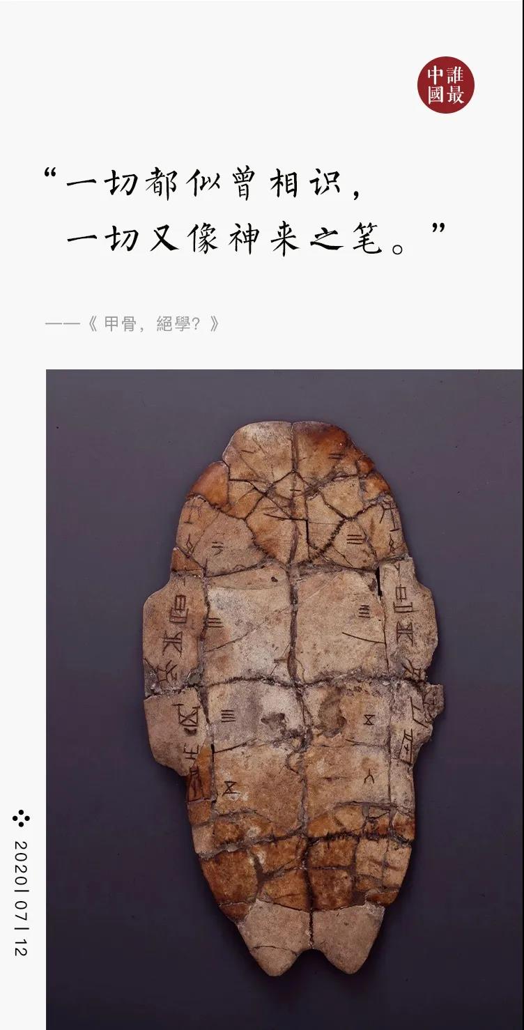 1594861855363857.jpg 1.jpg