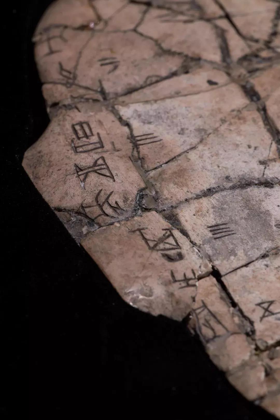 1594861883136977.jpg 5.jpg