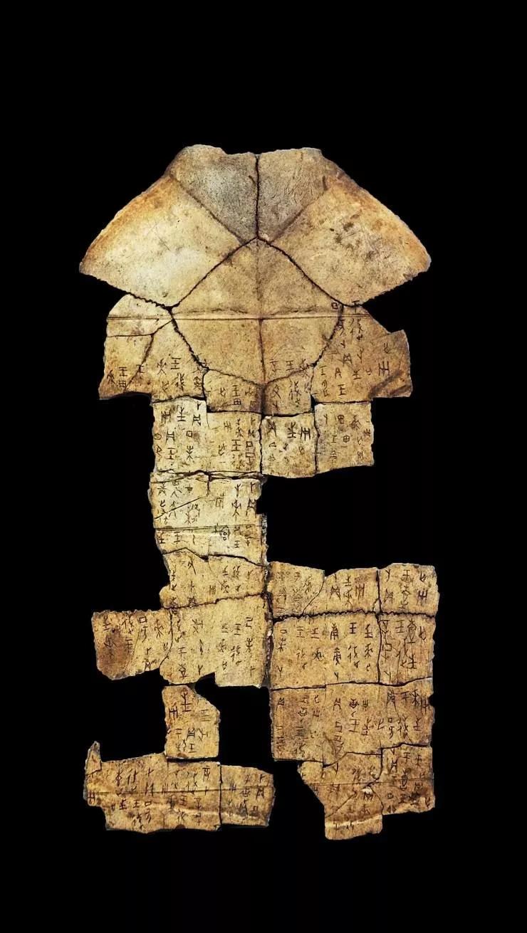 1594861921379796.jpg 7.jpg