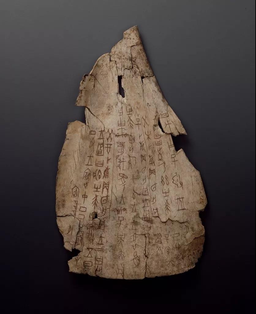 1594861948762124.jpg 10.jpg