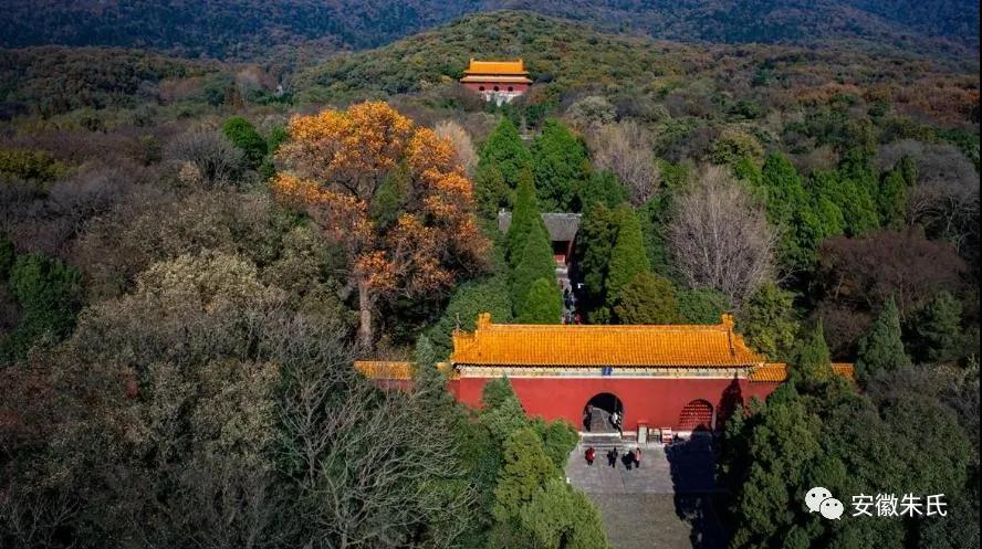 1601940713855559.jpg 5.jpg