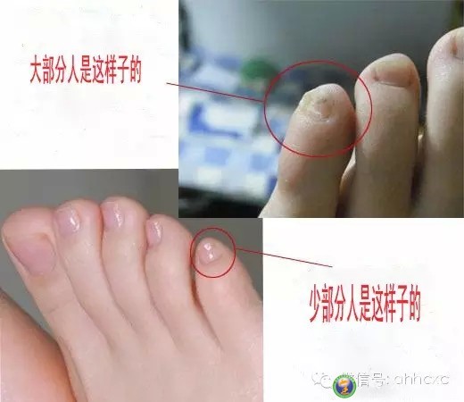 1602309473881545.jpg 4.jpg