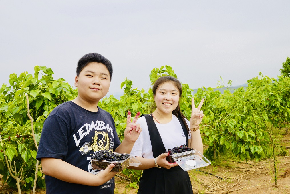 1604029395414879.jpg 2.jpg