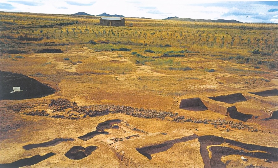 1604286701476817.jpg 13.jpg