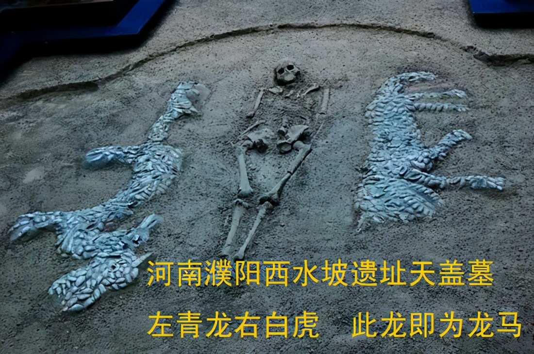 1604286707565760.jpg 14.jpg