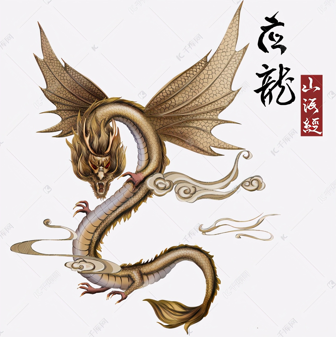 1604286741950549.jpg 20.jpg