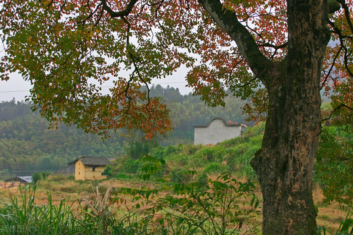 1604287478454384.jpg 17.jpg