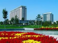 1608170183786054.jpg 0.jpg