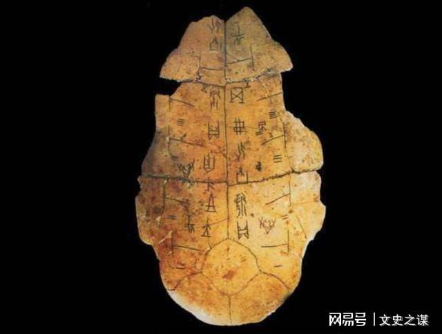 1608792134907218.jpg 1.jpg