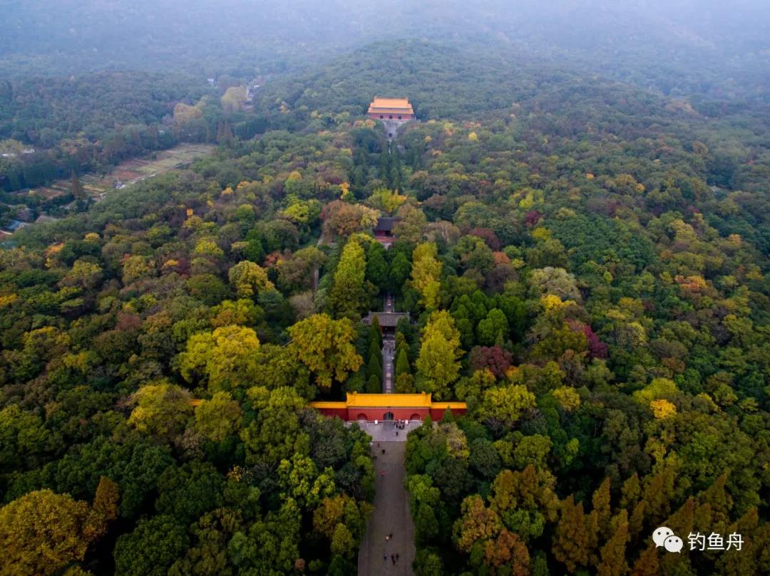 1609376901140927.jpg 2.jpg