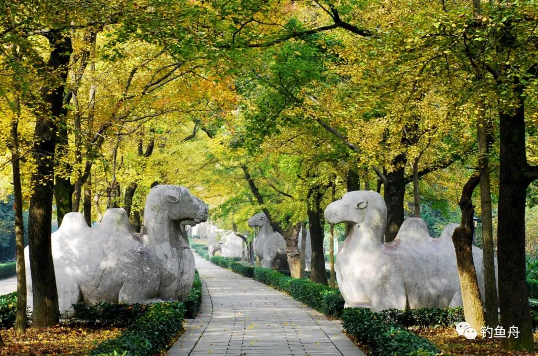 1609376920827513.jpg 5.jpg