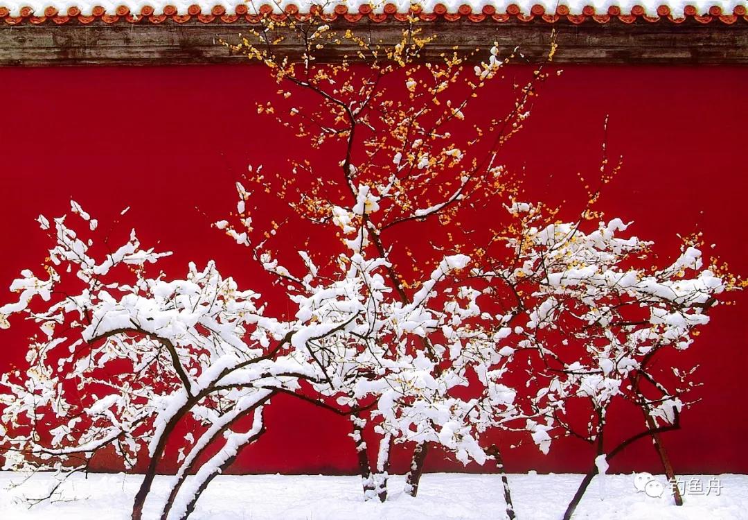 1609376927360355.jpg 6.jpg