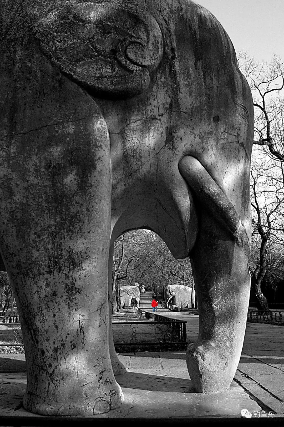 1609376936545954.jpg 7.jpg