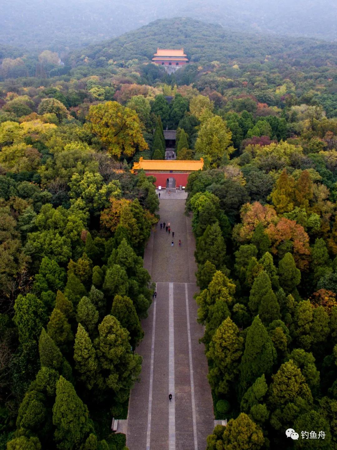 1609376945521693.jpg 8.jpg