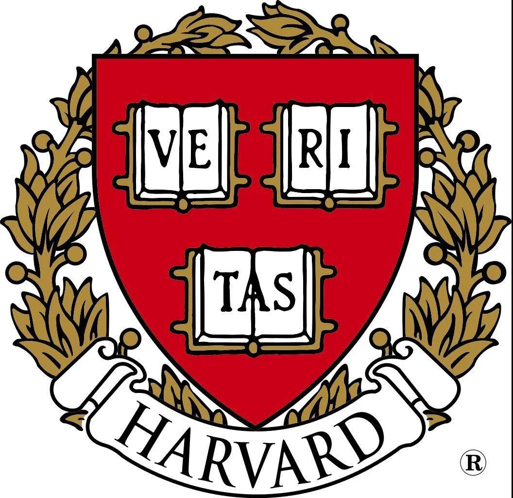 1609642716625451.jpg 2.jpg