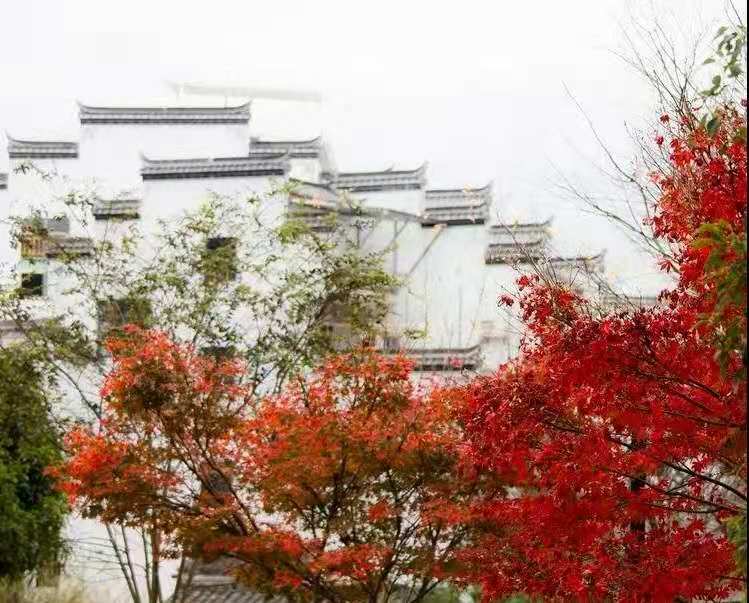 微信图片_20201222112459.jpg