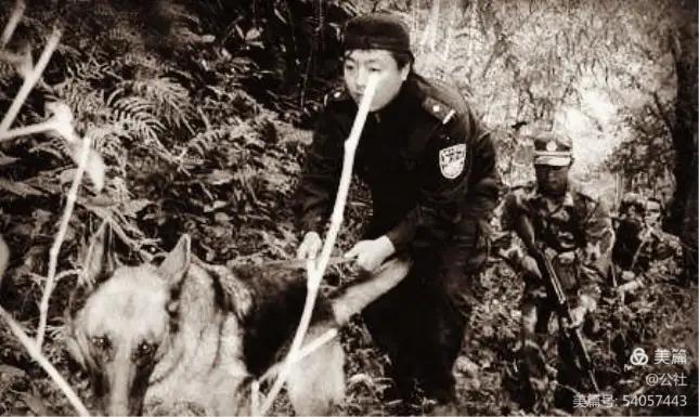 1612928466153173.jpg 6.jpg