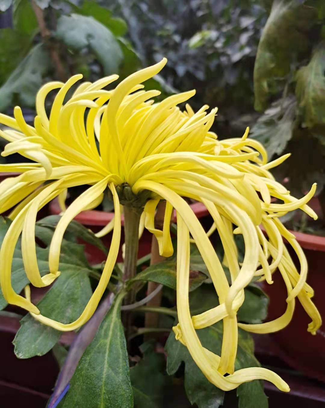 1617342977537252.jpg 微信图片_20201109134739.jpg