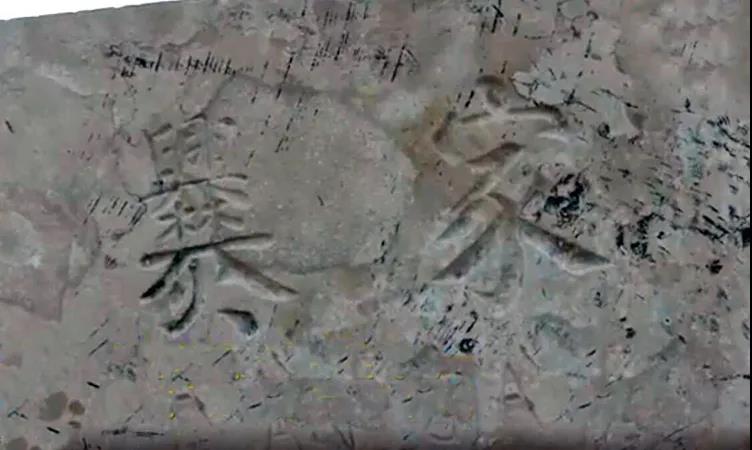 微信图片_20210422131722.jpg
