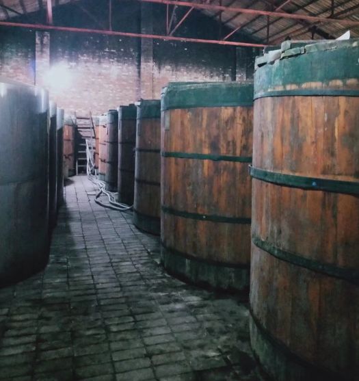 1619487821429115.jpg 10.jpg