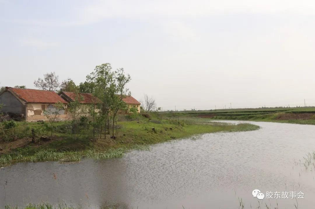 1620719387721029.jpg 3.jpg