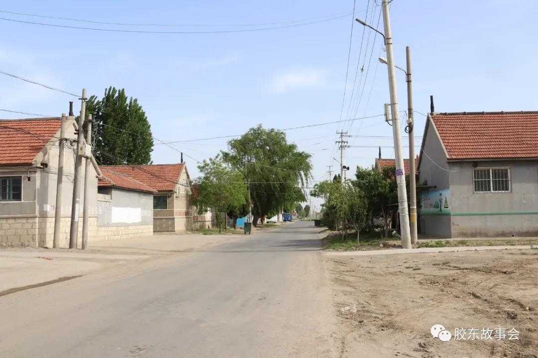 1620719400384007.jpg 5.jpg