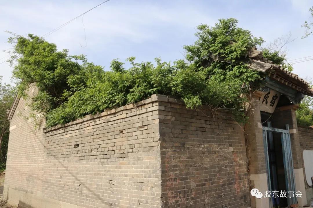 1620719417107825.jpg 8.jpg