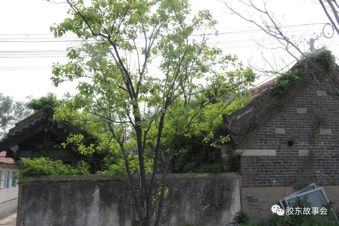 1620719423680221.jpg 9.jpg