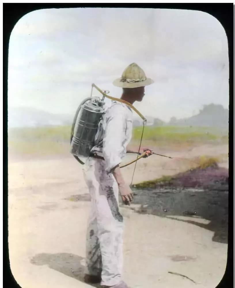 1623199931286034.jpg 8.jpg