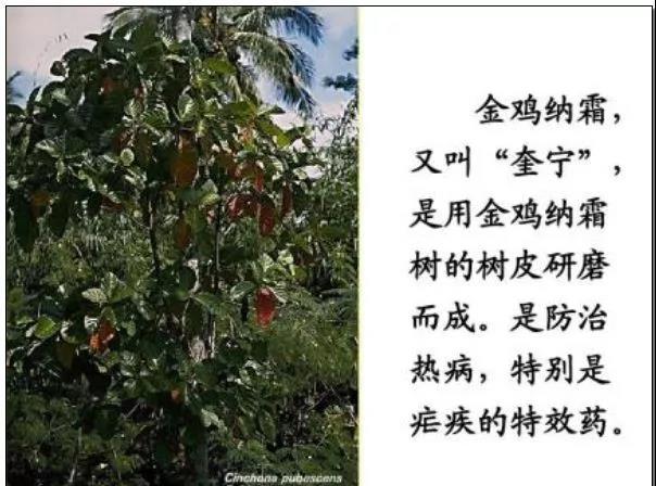 1623199968661245.jpg 14.jpg