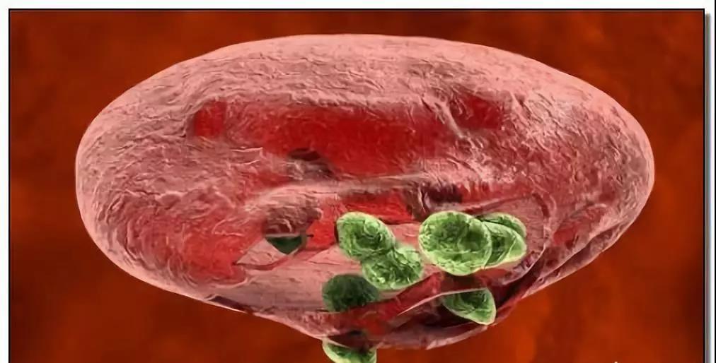 1623200093337234.jpg 35.jpg