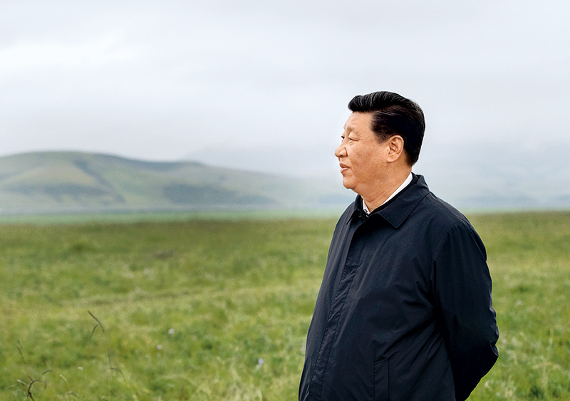 1625015698133827.jpg 4.jpg