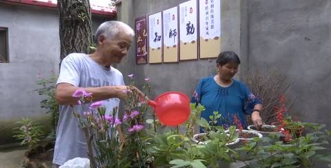 1625210250402070.jpeg 3b86ca73ab1843d0ac45d4df11e449a0.jpeg