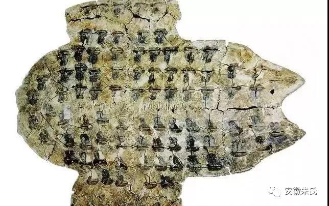 1629168701621014.jpg 微信图片_20210817104550.jpg