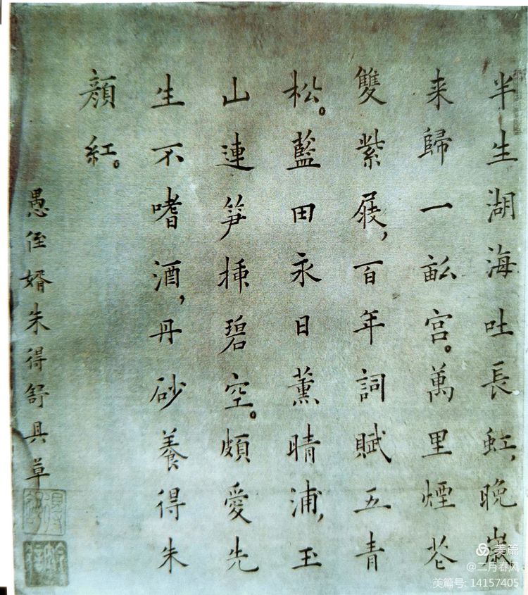 1645430111231251.jpg 7.jpg