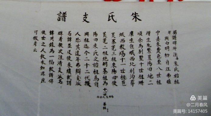 1645430131186380.jpg 13.jpg