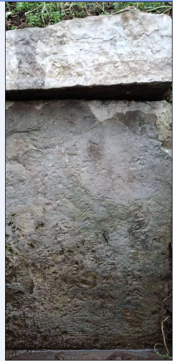 1647350709349916.png 1.png