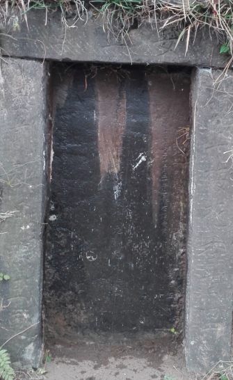 1647350749679886.png 7.png