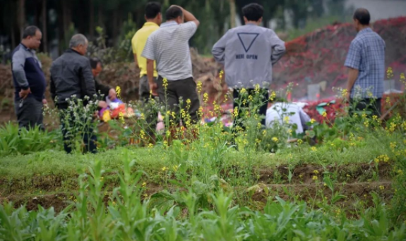 1647680573201488.png 微信图片_20220319170124.png