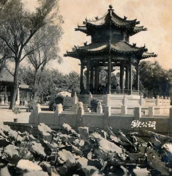 1693895349312446.jpeg 6.jpeg