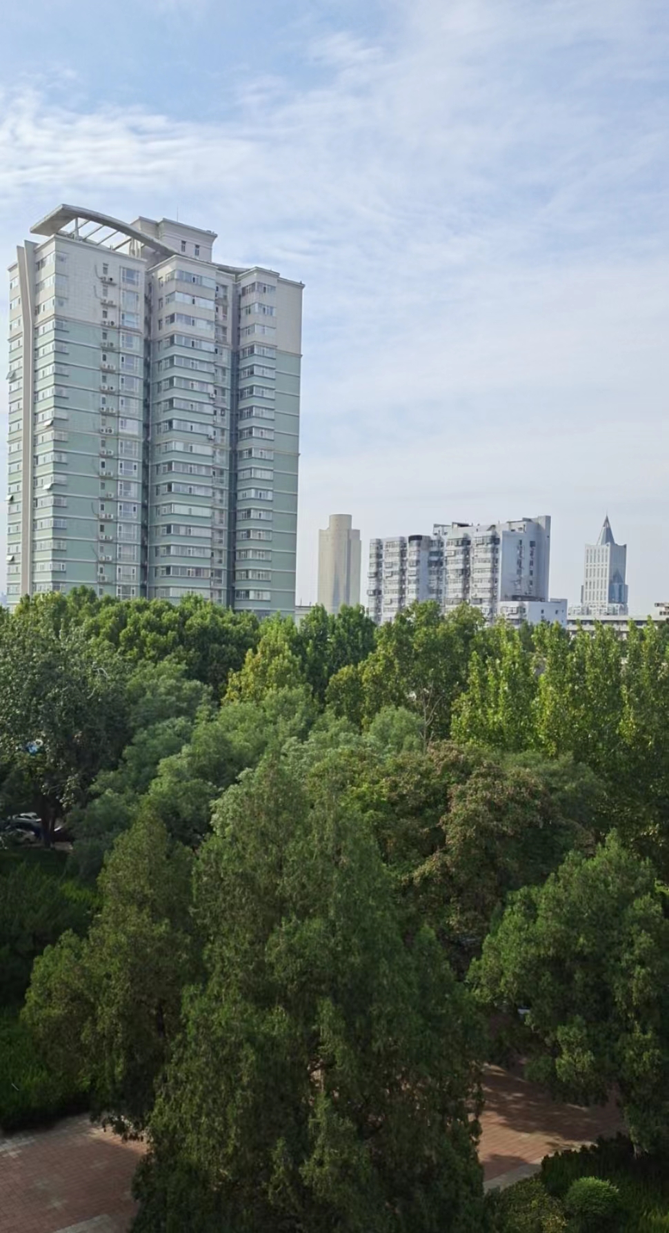 1695456732248951.jpg 12.jpg