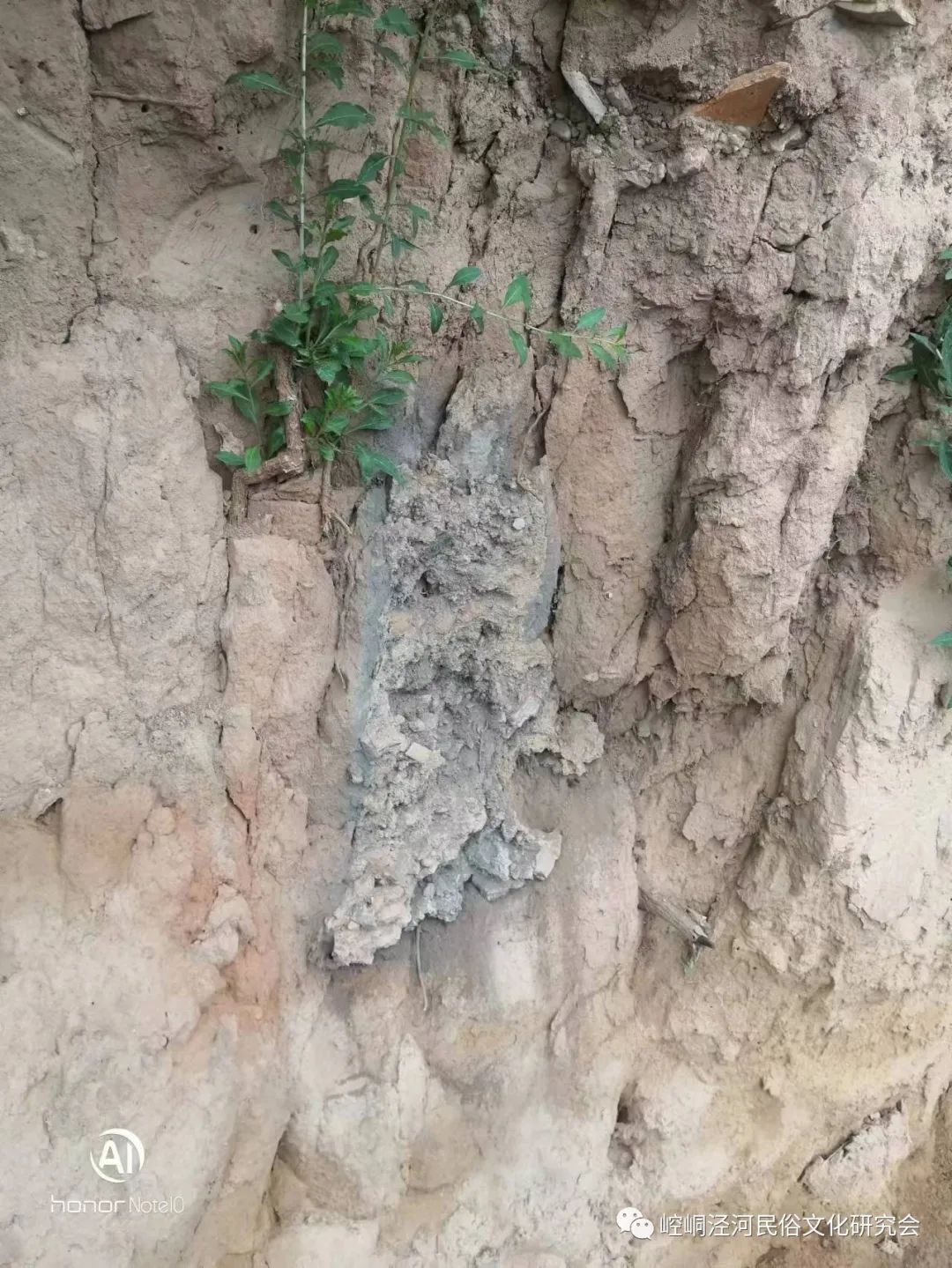 1701832179565336.jpg 7.jpg