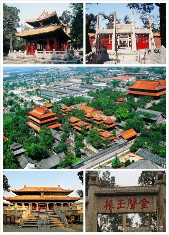 1710127185428453.jpg 1.jpg