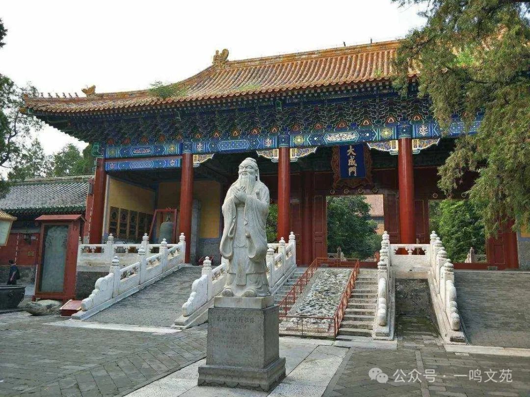 1710127205332323.jpg 5.jpg